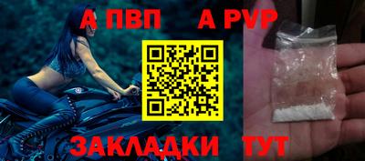 амф Гусев
