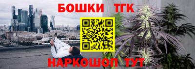 амф Гусев