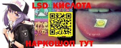 амф Гусев