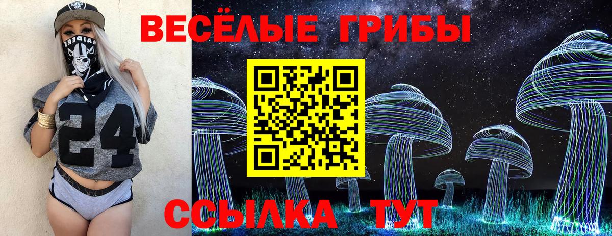 Псилоцибиновые грибы ЛСД  Вход с VPN  Междуреченск 