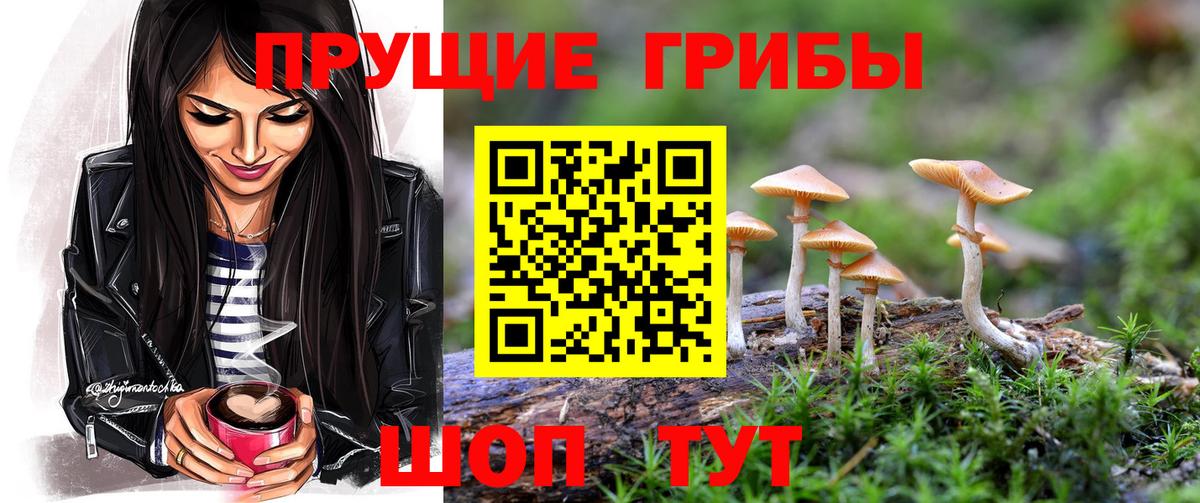 Галлюциногенные грибы Psilocybine cubensis Междуреченск